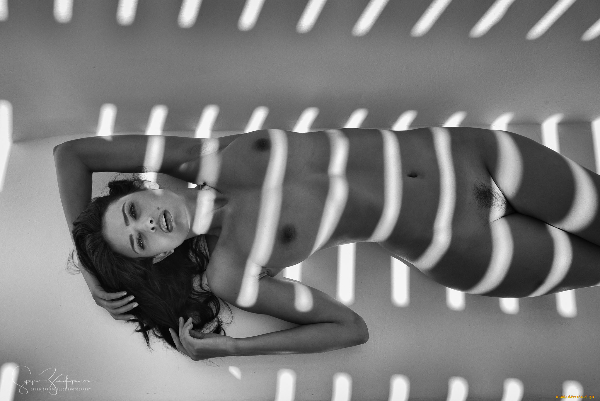 jasmine andreas, , ,  , , , spyro, zarifopoulos